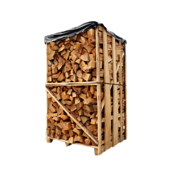 LEGNA FAGGIO 25 CM BANCALE